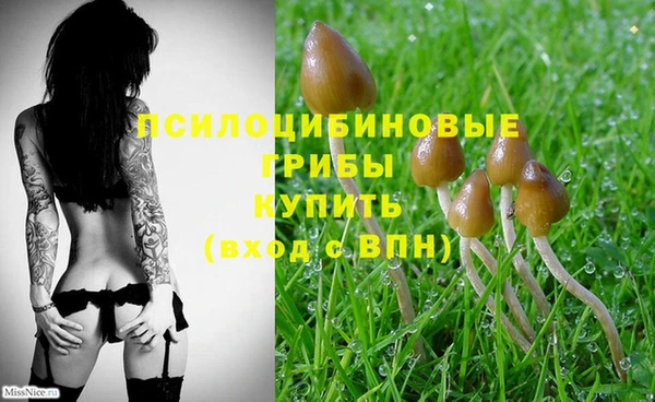 прущий лед Абаза