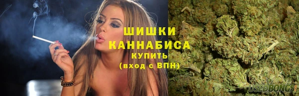 прущий лед Абаза