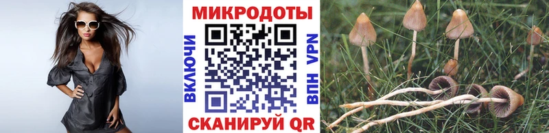Галлюциногенные грибы Magic Shrooms Моршанск