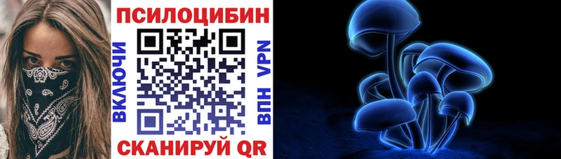 KRAKEN ТОР Моршанск это состав Псилоцибиновые грибы Psilocybine cubensis